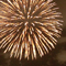 江戸川区花火大会 2010