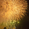江戸川区花火大会 2010