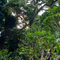 江の島観光 2010
