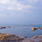 江の島観光 2010