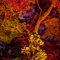 長谷寺 紅葉ライトアップ 2010