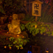 長谷寺 紅葉ライトアップ 2010