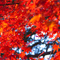 新宿御苑 紅葉 2010