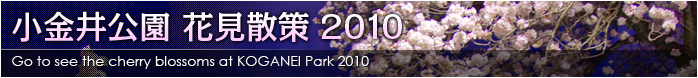 小金井公園 花見散策 2010