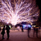 昭和記念公園 クリスマスイルミネーション 2011