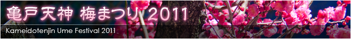 亀戸天神 梅まつり 2011