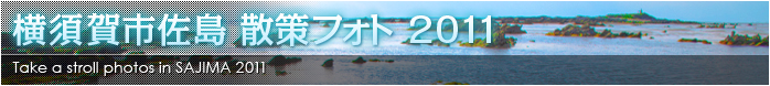 横須賀市佐島 散策フォト 2011