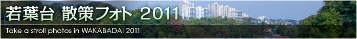 若葉台 散策フォト 2011