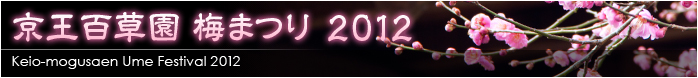 京王百草園 梅まつり 2012