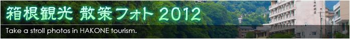 箱根観光 散策フォト 2012