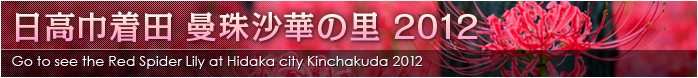 日高巾着田 曼珠沙華の里 2012