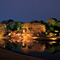 六義園 夜桜ライトアップ 2013