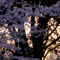 上野恩賜公園 花見散策 2013