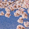 上野恩賜公園 花見散策 2013