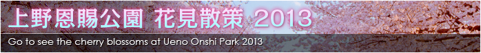 上野恩賜公園 花見散策 2013